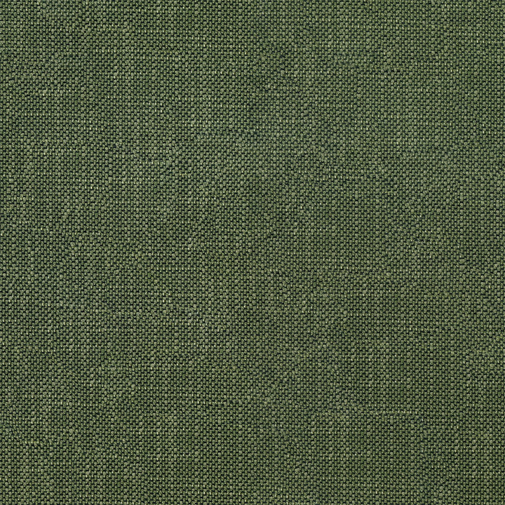 Striving 202 Alpine by ABBEYSHEA Designer Fabric 100% Polyester CN 50,000 Double Rubs (Wyzenbeek) </p><p>Repeat: Horizontal: and Vertical: 57 in. (142 cm) - Swanky Fabrics -