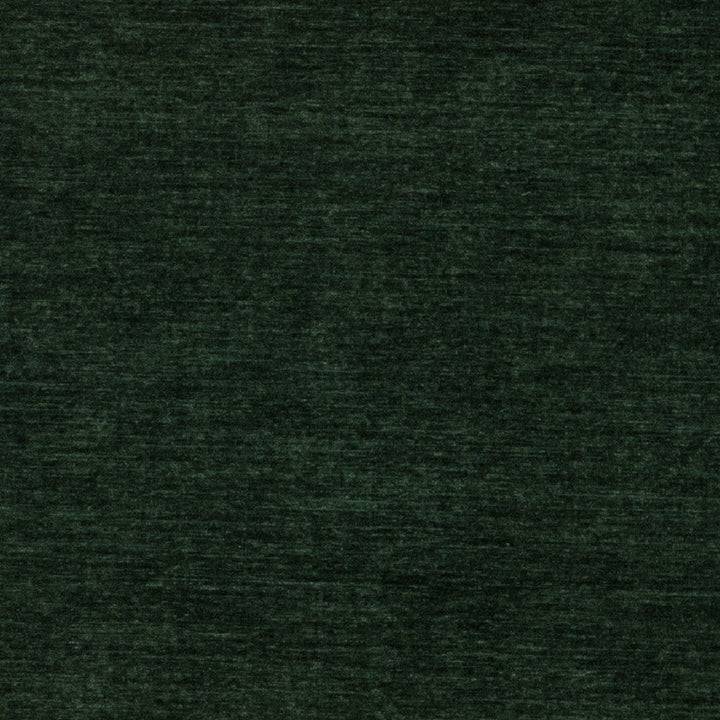 Rave # 618 Evergreen by Maxwell Designer Fabric Pure & Simple Xviii 100% POLYESTER TAIWAN 57" - Swanky Fabrics -