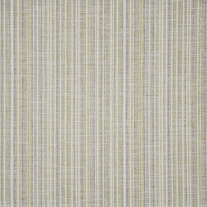 Maxwell Fabric Renzo # 243 Kiwi