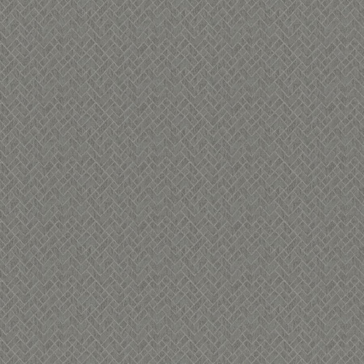 Rhyme # 605 Thunder by Maxwell Designer Fabric Wide Width Drapery Ii 100% POLYESTER TURKEY V-14.7" H-14" 118" - Swanky Fabrics -