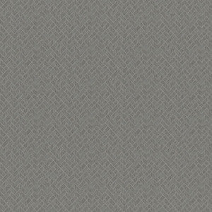 Maxwell Fabric Rhyme # 605 Thunder