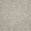 Maxwell Fabric Rosaprima # 912 Dusty Miller