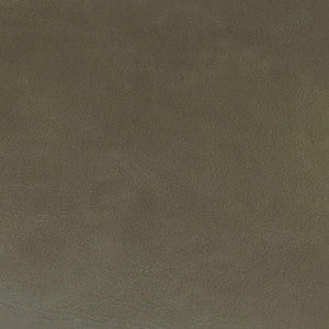 JF Fabric Rodeo 95J9591
