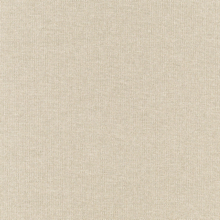 ROOKIE 91J7351 by JF Designer Fabric Winning Weaves VI - Woven Book 90% Polyester, 10% Viscose India  Horizontal:  and Vertical:  57  - Swanky Fabrics -