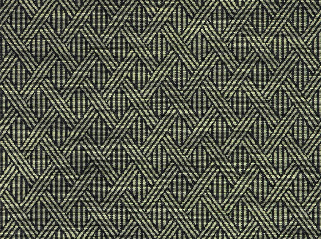 Rory 916 Ebony/Ivory by Covington Designer Fabric