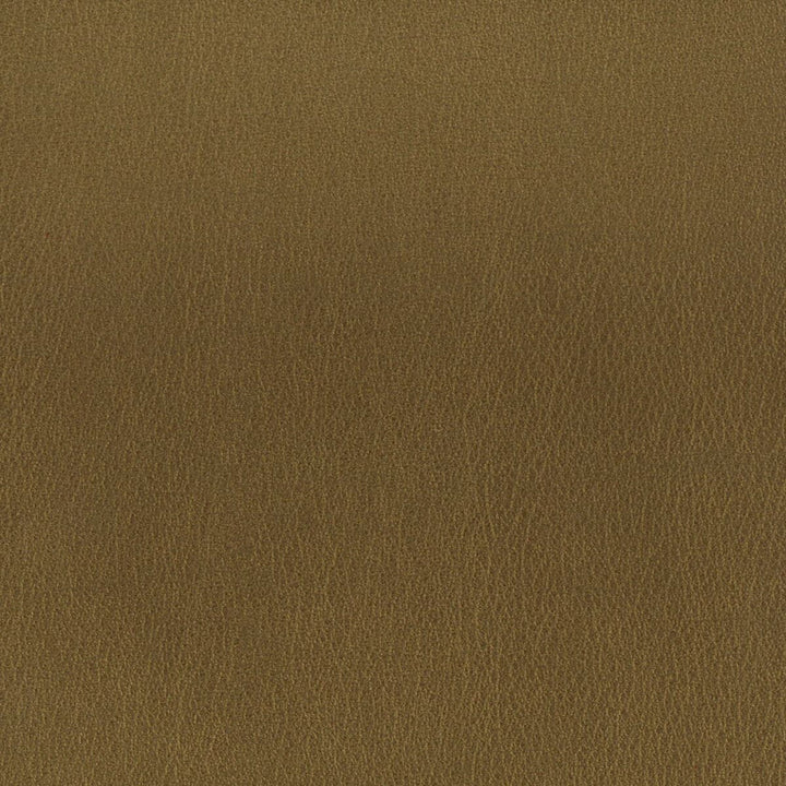 Roulette 1 Bronze by Stout Designer Fabric LEATHER LOOKS II 100%OTH 9%OTH CHINA FLAME RETARDANT-U.F.A.C. CLASS 1 FLAME RETARDANT-N.F.P.A. 260A CLASS 1 CATB 117-2013 WYZENBEEK 100 000 DOUBLE RUB WEAR TEST (HEAVY DUTY) Horizontal: 0 and Vertical: 0 54 in - Swanky Fabrics -