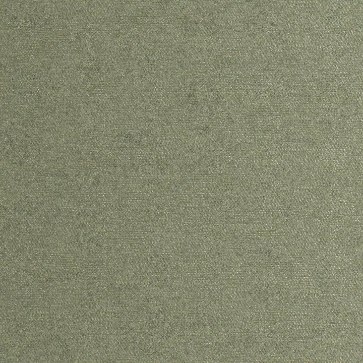 Rondo # 814 Sage by Maxwell Designer Fabric Curled Up Viii 100% RECYCLED POLYESTER INDIA 54" - Swanky Fabrics -