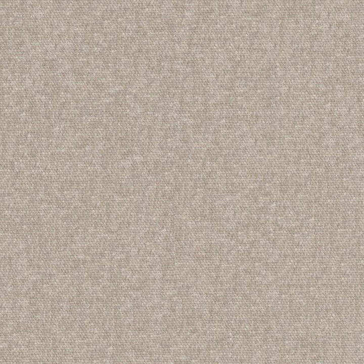 Rondo # 927 Nomad by Maxwell Designer Fabric Curled Up Viii 100% RECYCLED POLYESTER INDIA 54" - Swanky Fabrics -