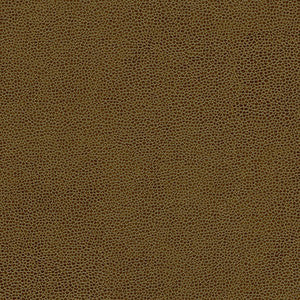 Maxwell Fabric Rambutan-Nj # 755 Hazelnut