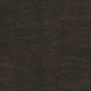 Maxwell Fabric Rambutan-Nj # 758 Soot