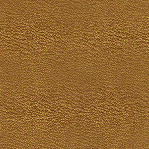 Maxwell Fabric Rambutan-Nj # 760 Age