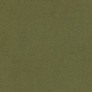 Maxwell Fabric Rambutan-Nj # 761 Bush