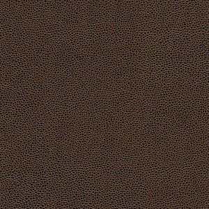 Maxwell Fabric Rambutan-Nj # 762 Archive