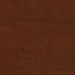 Maxwell Fabric Rambutan-Nj # 763 Mahogany