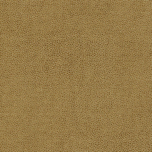 Maxwell Fabric Rambutan-Nj # 764 Clay