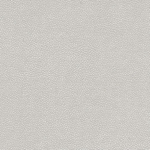 Maxwell Fabric Rambutan-Nj # 766 Silver