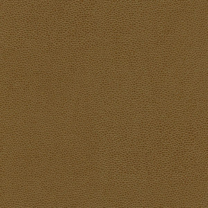 Maxwell Fabric Rambutan-Nj # 768 Cuba