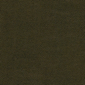 Maxwell Fabric Rambutan-Nj # 771 Frond