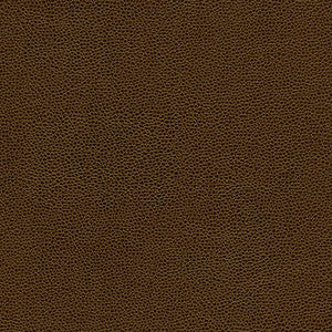 Maxwell Fabric Rambutan-Nj # 772 Husk