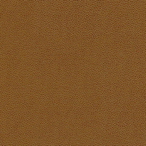 Maxwell Fabric Rambutan-Nj # 776 Maple