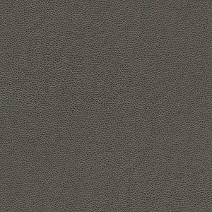 Maxwell Fabric Rambutan-Nj # 779 Graphite