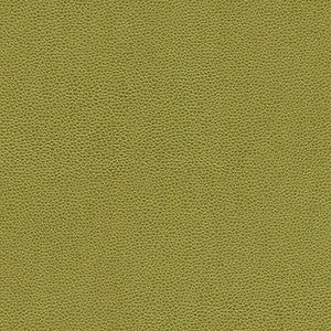 Maxwell Fabric Rambutan-Nj # 780 Grass