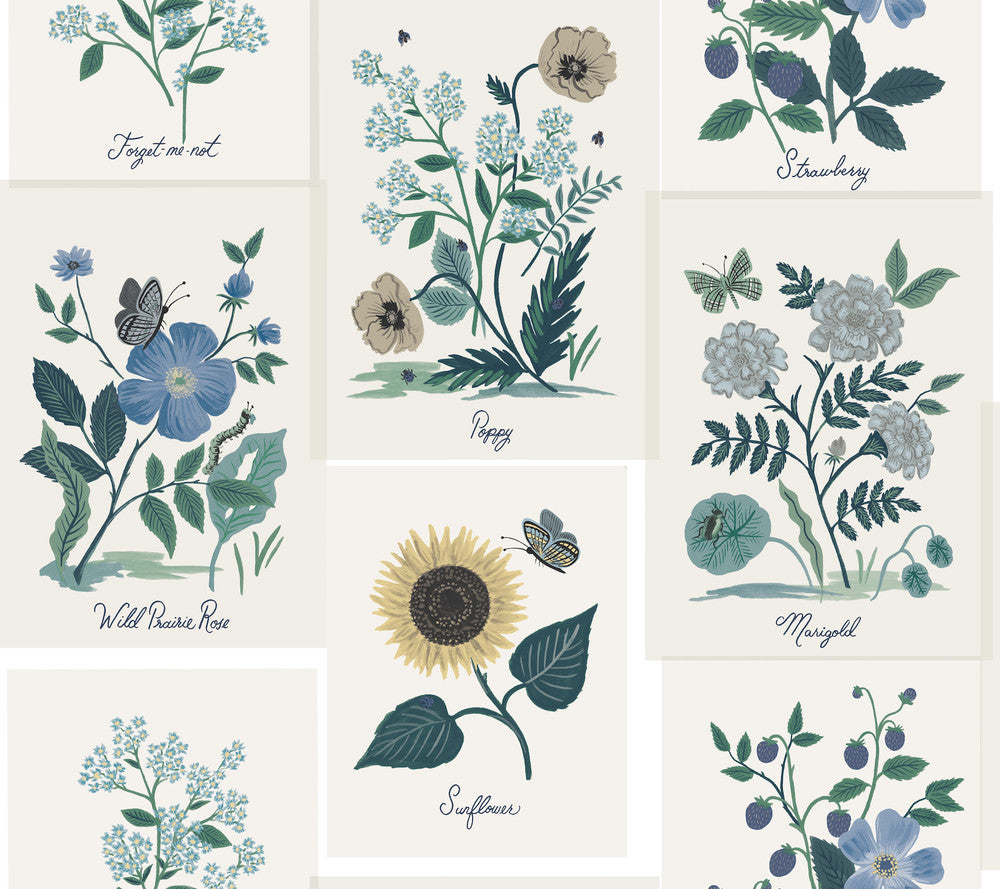 Botanical Prints White & Blue Wallpaper by Rifle Paper Co. Designer Rifle Paper Co. Second Edition Covers about 60.8 square feet 27-in by 27-ft long roll Unpasted 24 - Swanky Fabrics -