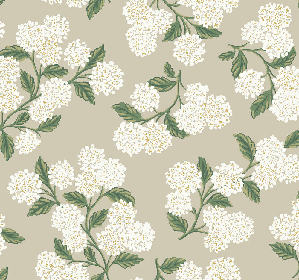 Hydrangea Beige Wallpaper by Rifle Paper Co. Designer Rifle Paper Co. Second Edition Covers about 60.8 square feet 27-in by 27-ft long roll Unpasted 25.25 - Swanky Fabrics -