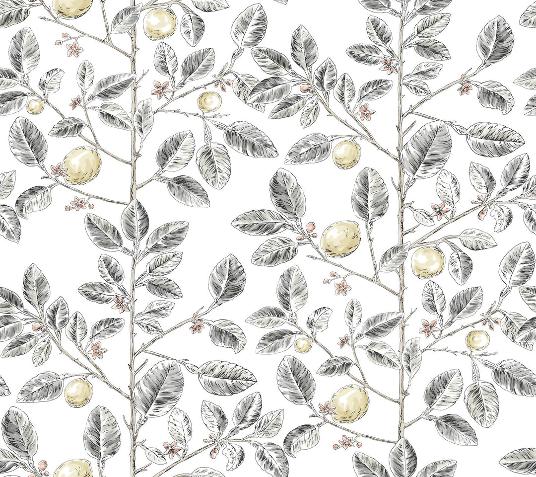 Limoncello Toile Black Wallpaper by York Wallcoverings Designer