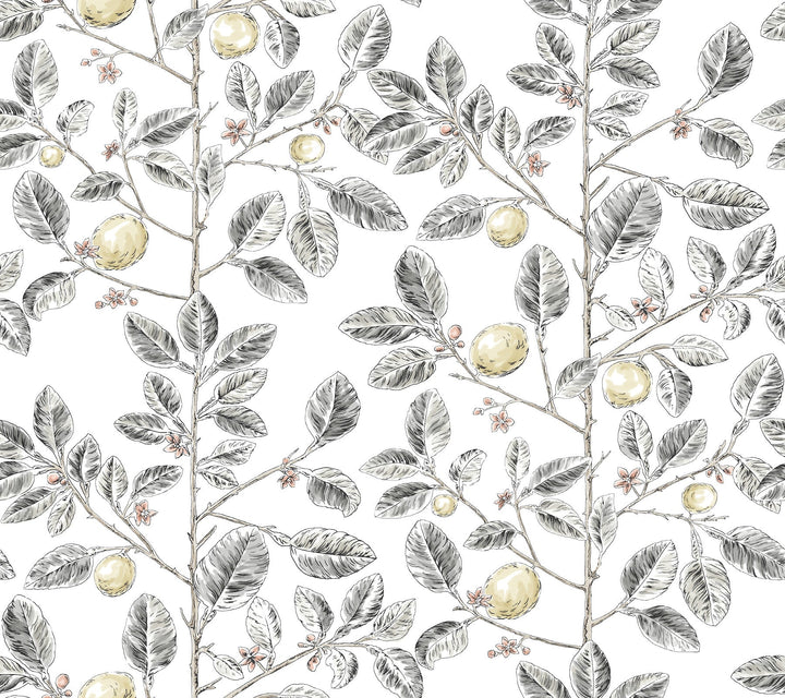 Limoncello Toile Black Wallpaper by York Wallcoverings Designer