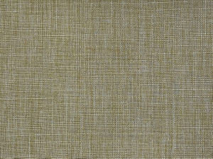 Runway Canvas by Norbar Designer Fabric CONDOR 100% POLYESTER TAIWAN 54" - Swanky Fabrics -