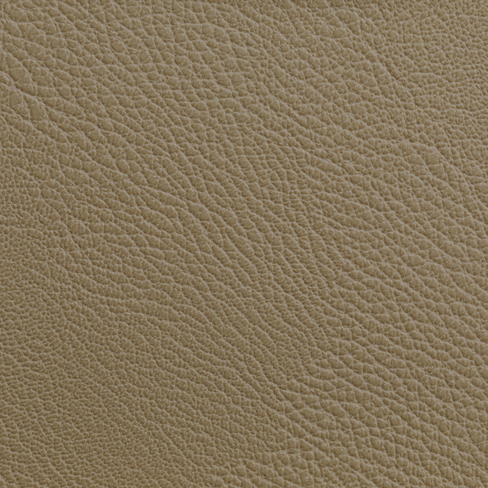 Rustler Cashew by Kravet Contract Fabric Kravet Contract Fabric Rustler CashewFabric FOUNDATIONS / VALUE POLY VINYL CHLORIDE - 100% China </p><p>Repeat: H: 0, V: 0 54 - Fabric Carolina -