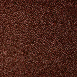 Kravet Fabric Rustler Port