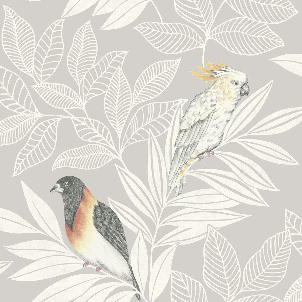 Paradise Island Birds Daydream Gray and Ivory RY30100 by Seabrook Designs Designer Wallpaper