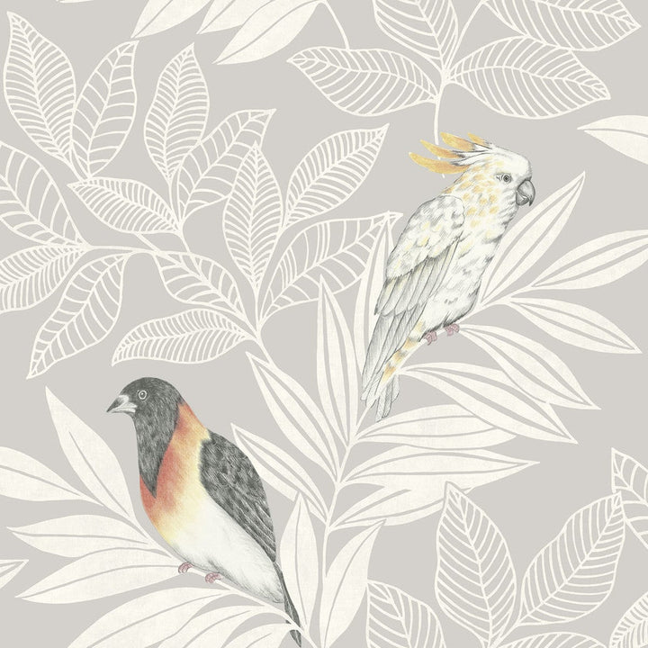 Paradise Island Birds Daydream Gray and Ivory RY30100 by Seabrook Designs Designer Wallpaper