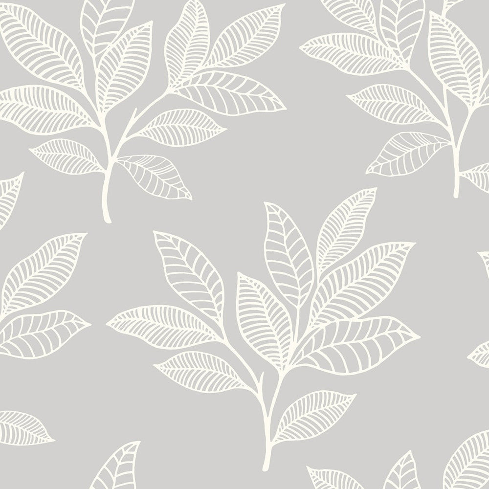 Paradise Leaves Daydream Gray RY30800 by Seabrook Designs Designer Wallpaper