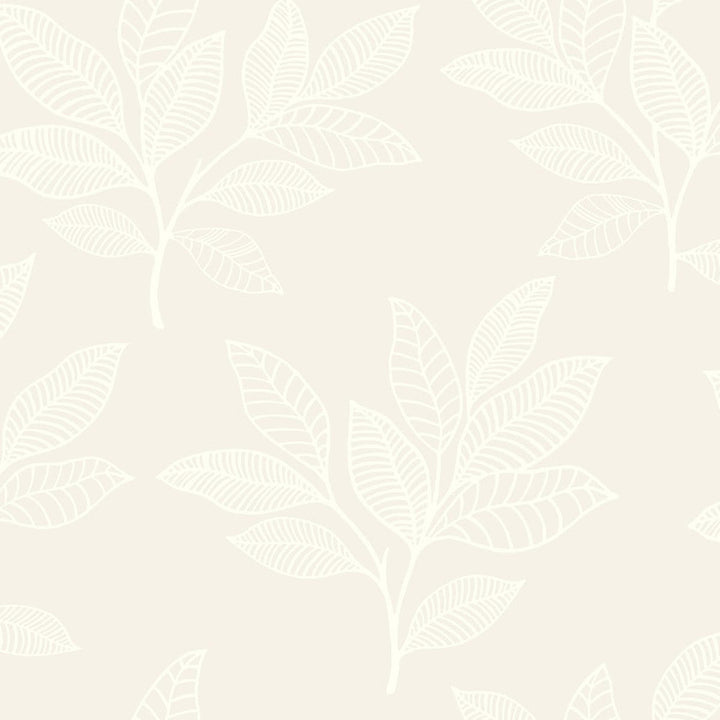 Paradise Leaves Sand Dune RY30820 by Seabrook Designs Designer Wallpaper