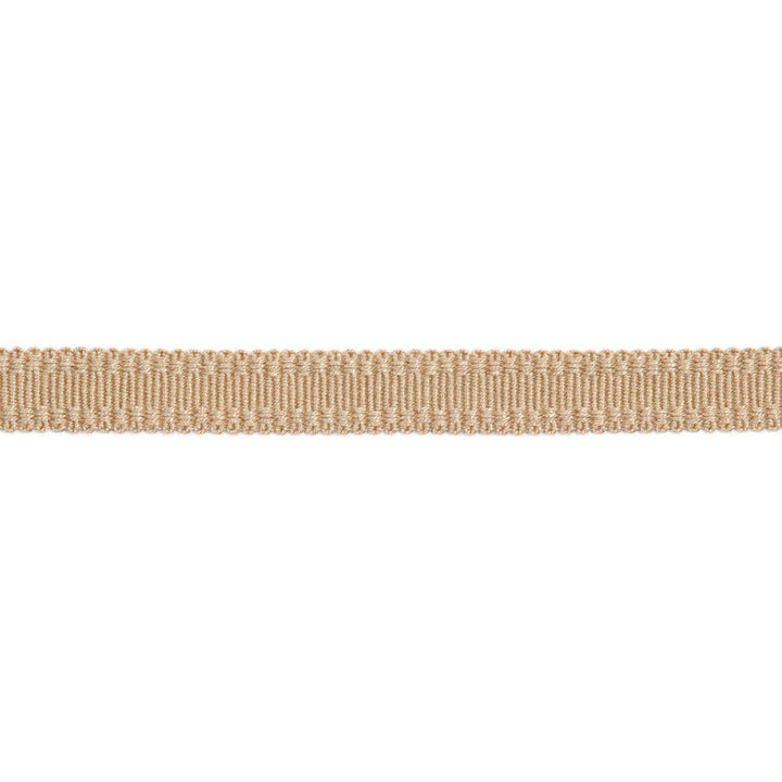 Versailles 9/16" Raised Edge Gimp Biscotti by Europatex Designer Fabric Versailles 100% Rayon 0.56 inches - Swanky Fabrics -