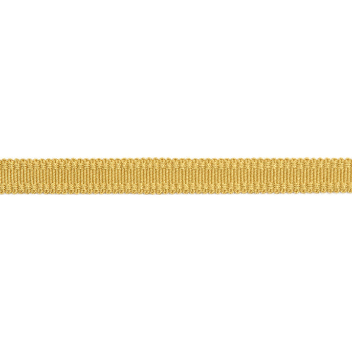 Versailles 9/16" Raised Edge Gimp Dijon by Europatex Designer Fabric Versailles 100% Rayon 0.56 inches - Swanky Fabrics -
