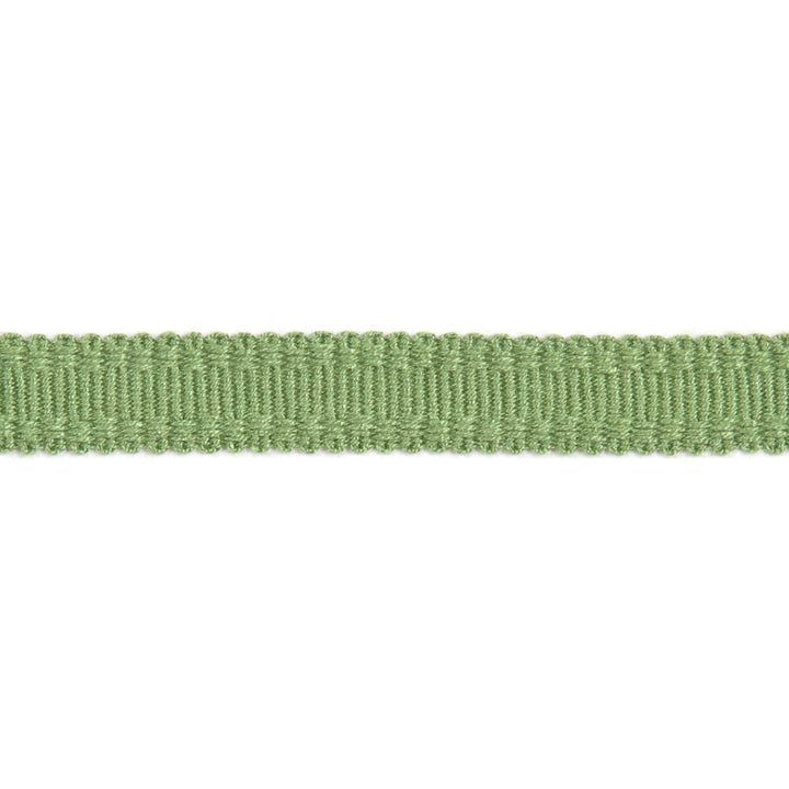 Versailles 9/16" Raised Edge Gimp Lime by Europatex Designer Fabric Versailles 100% Rayon 0.56 inches - Swanky Fabrics -