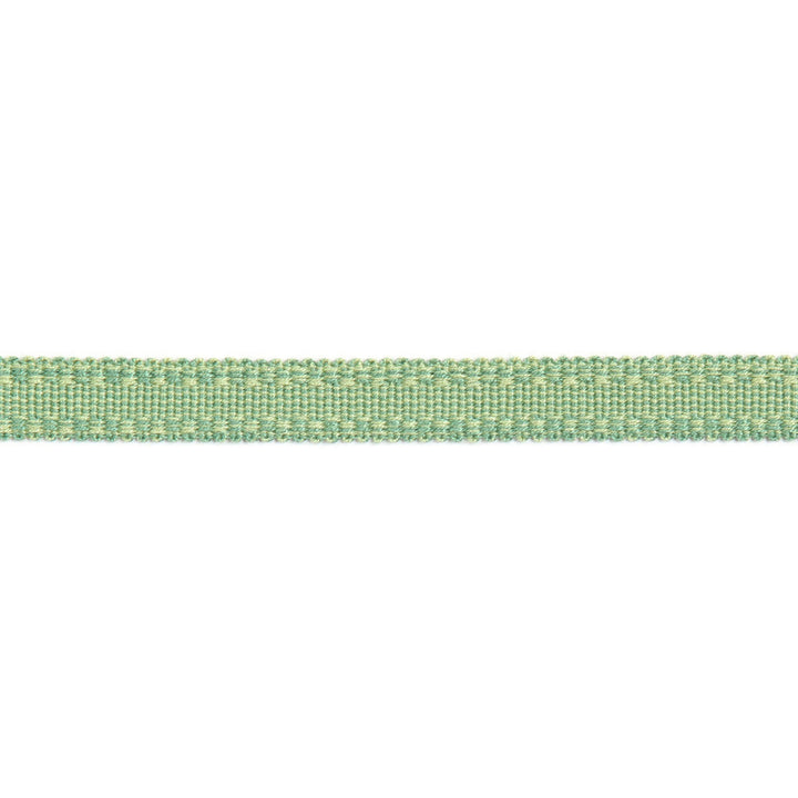 Versailles 9/16" Raised Edge Gimp Pear by Europatex Designer Fabric Versailles 100% Rayon 0.56 inches - Swanky Fabrics -
