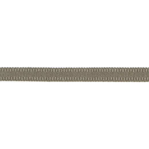 Versailles 9/16" Raised Edge Gimp - Pewter by Europatex Designer Fabric Versailles 100% Rayon China See Sample Horizontal: N/A and Vertical: N/A 0.56 inches  - Swanky Fabrics -