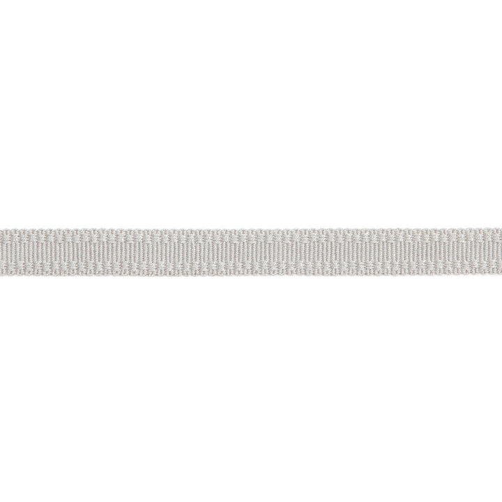 Versailles 9/16" Raised Edge Gimp Platinum by Europatex Designer Fabric Versailles 100% Rayon 0.56 inches - Swanky Fabrics -