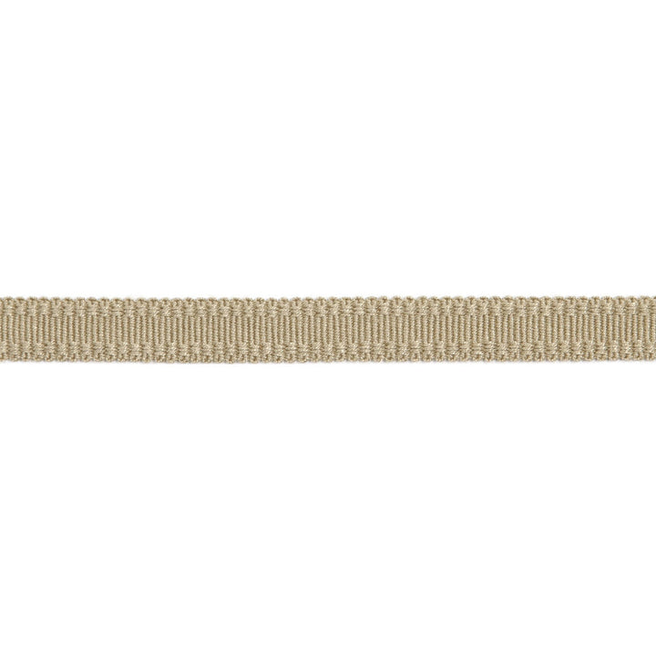 Versailles 9/16" Raised Edge Gimp Sand by Europatex Designer Fabric Versailles 100% Rayon 0.56 inches - Swanky Fabrics -