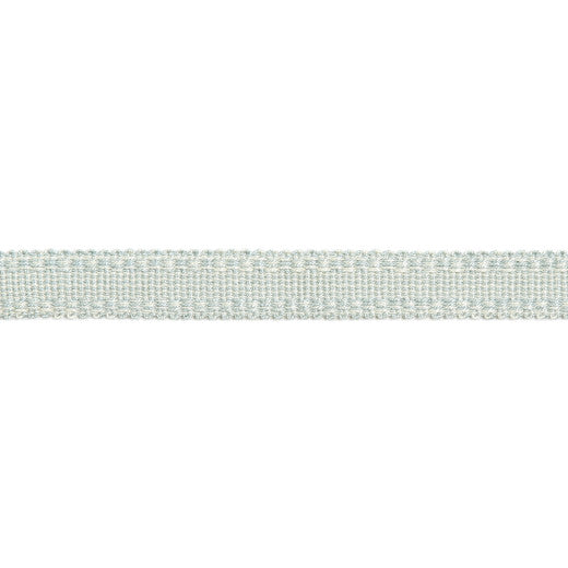 Versailles 9/16" Raised Edge Gimp - Soft Mineral by Europatex Designer Fabric Versailles 100% Rayon China See Sample Horizontal: N/A and Vertical: N/A 0.56 inches  - Swanky Fabrics -