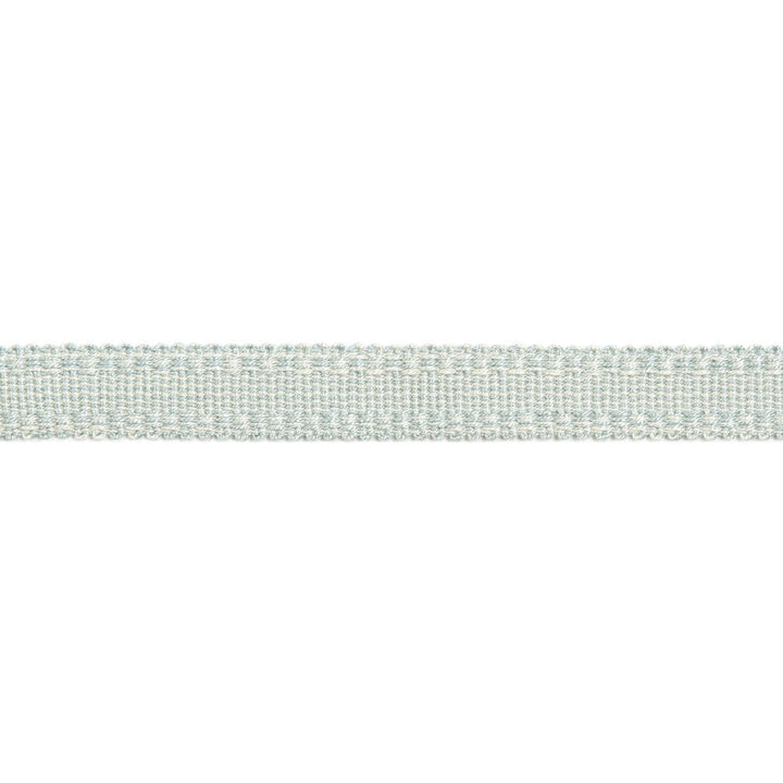 Versailles 9/16" Raised Edge Gimp Soft Mineral by Europatex Designer Fabric Versailles 100% Rayon 0.56 inches - Swanky Fabrics -
