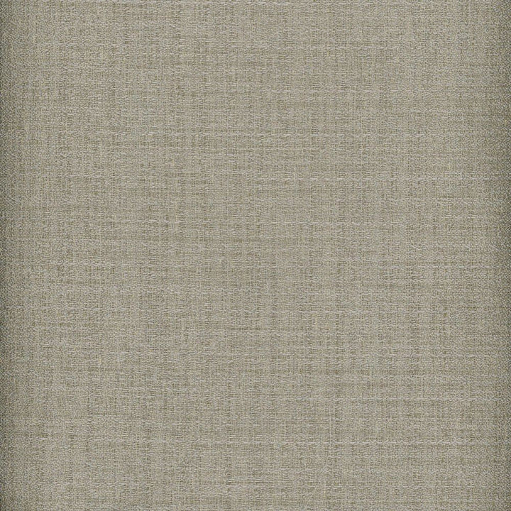 Raw Silk Crepe Pewter by Heritage Designer Fabric - USA or Imported Horizontal: and Vertical: - Swanky Fabrics -
