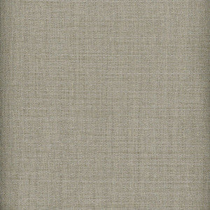 Heritage Fabric Raw Silk Crepe Pewter