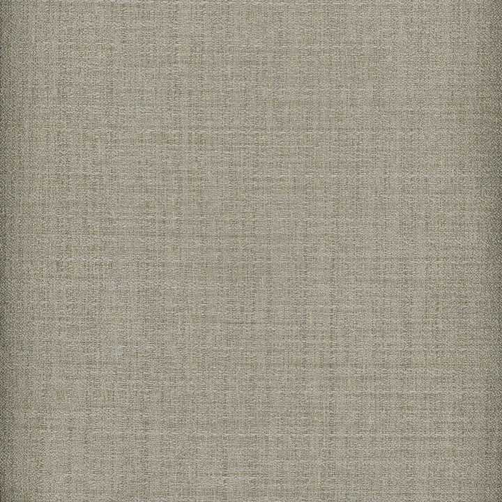 Raw Silk Crepe Pewter by Heritage Fabric - USA or Imported Horizontal: and Vertical: - Fabric Carolina -