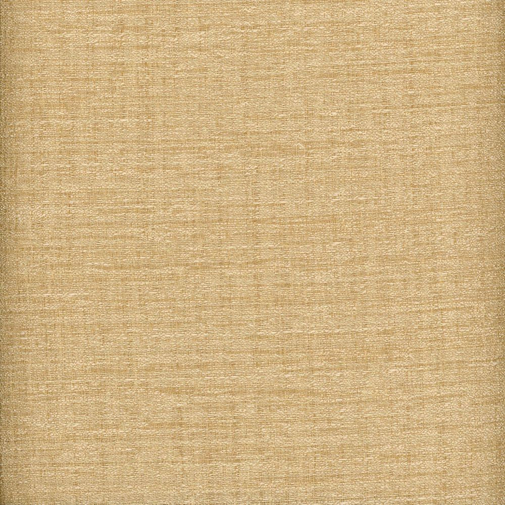 Raw Silk Crepe Sand by Heritage Designer Fabric - USA or Imported Horizontal: and Vertical: - Swanky Fabrics -